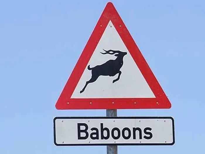 A triangular road sign showing an antelope but labeled Baboons, illustrating signs with funny mistakes