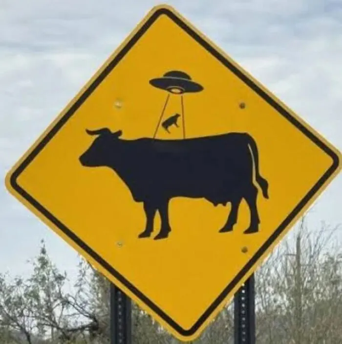 A yellow caution sign showing a cow being abducted by a UFO, depicting a funny sign mistake.