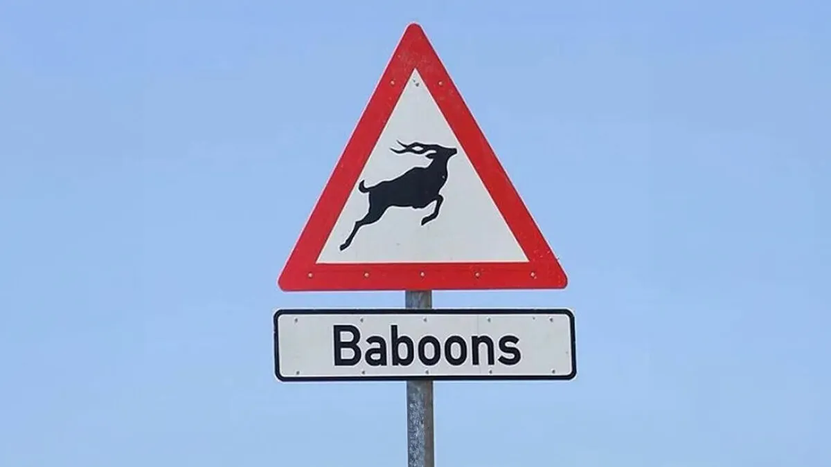 54 Signs So Creative People Couldn’t Resist Taking A Picture