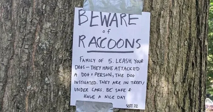 54 Signs So Creative People Couldn’t Resist Taking A Picture