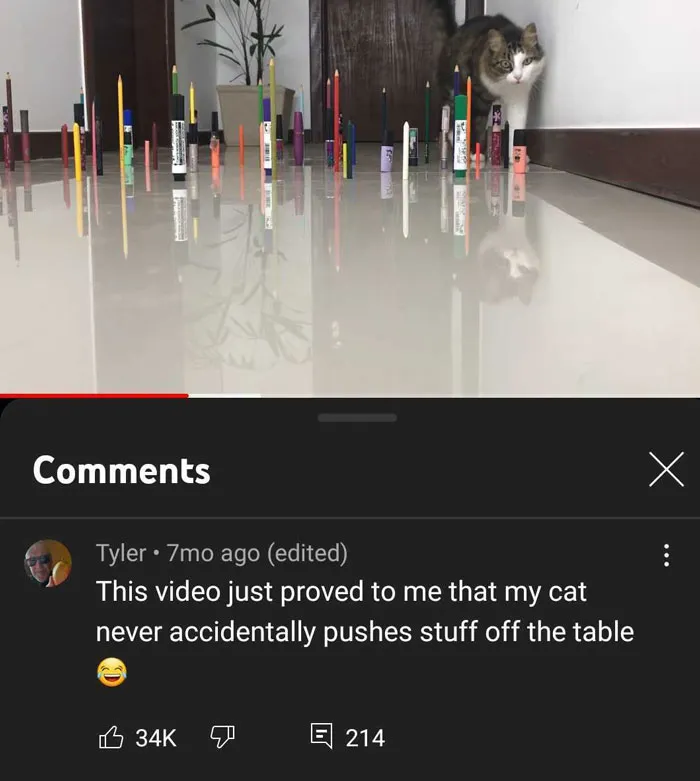 69 Times YouTube Viewers Completely Stole The Show In The Comments