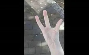 69 Times YouTube Viewers Completely Stole The Show In The Comments