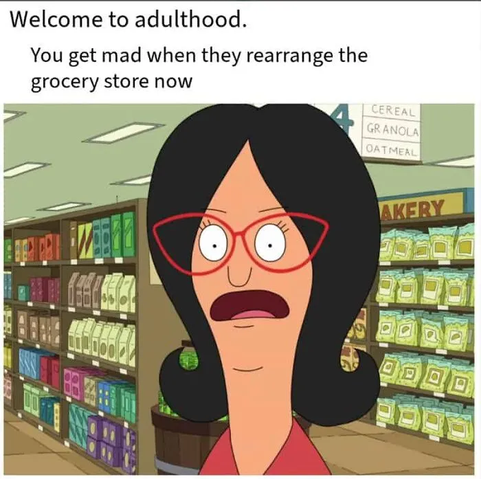 74 Hilariously Relatable Memes For Adults Who Still Don’t Know What They’re Doing