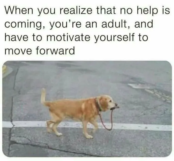 74 Hilariously Relatable Memes For Adults Who Still Don’t Know What They’re Doing