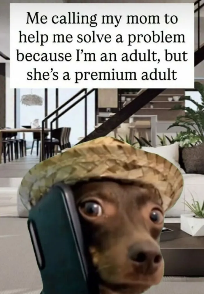74 Hilariously Relatable Memes For Adults Who Still Don’t Know What They’re Doing