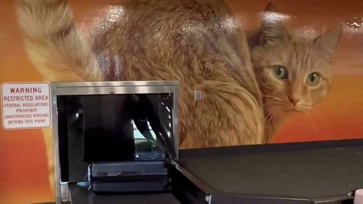 Travel Moments: Quirky And Bizarre Things Spotted At Airports