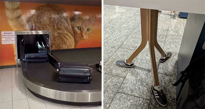 56 Funny And Weird Airport Moments That Could Make Travelers Forget They Even Have A Flight To Catch