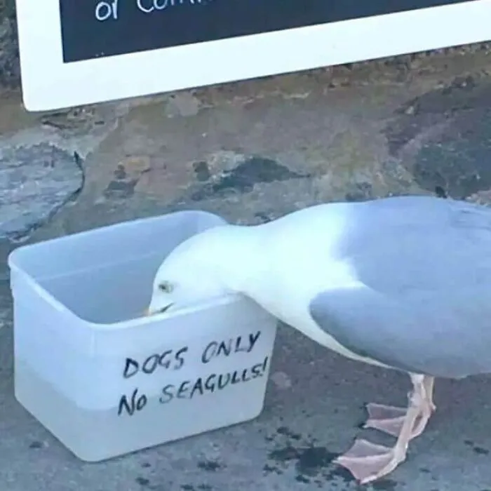 89 Photos That Make You Desperately Want To Know What Happened Five Minutes Earlier