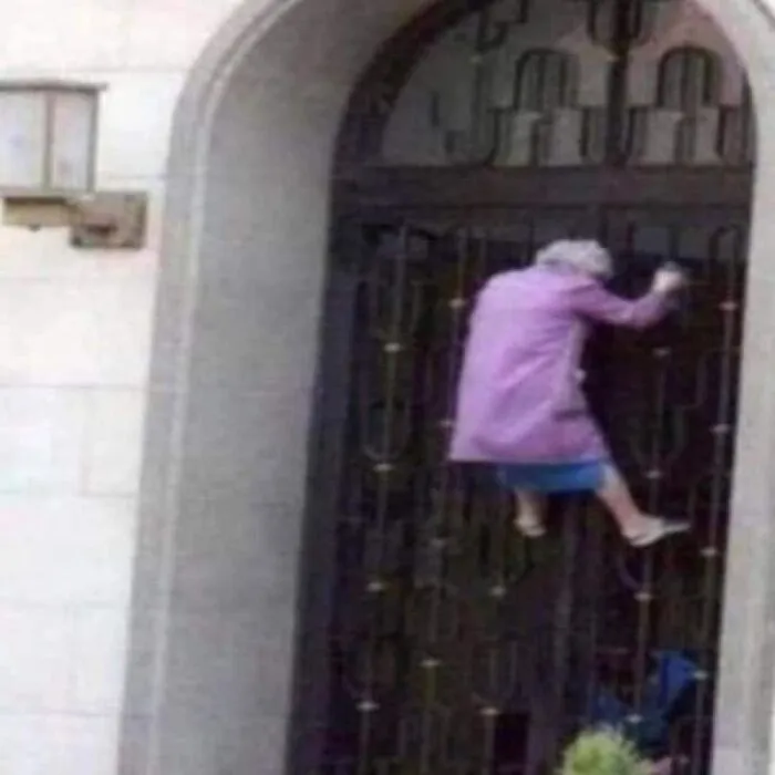 89 Photos That Make You Desperately Want To Know What Happened Five Minutes Earlier