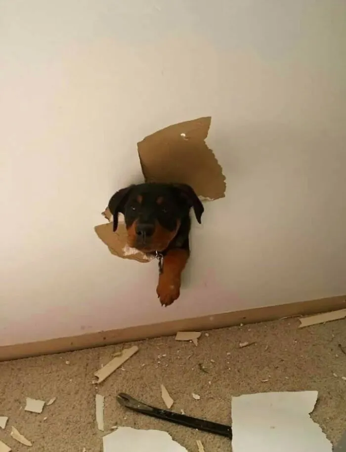 He’s Such A Mess