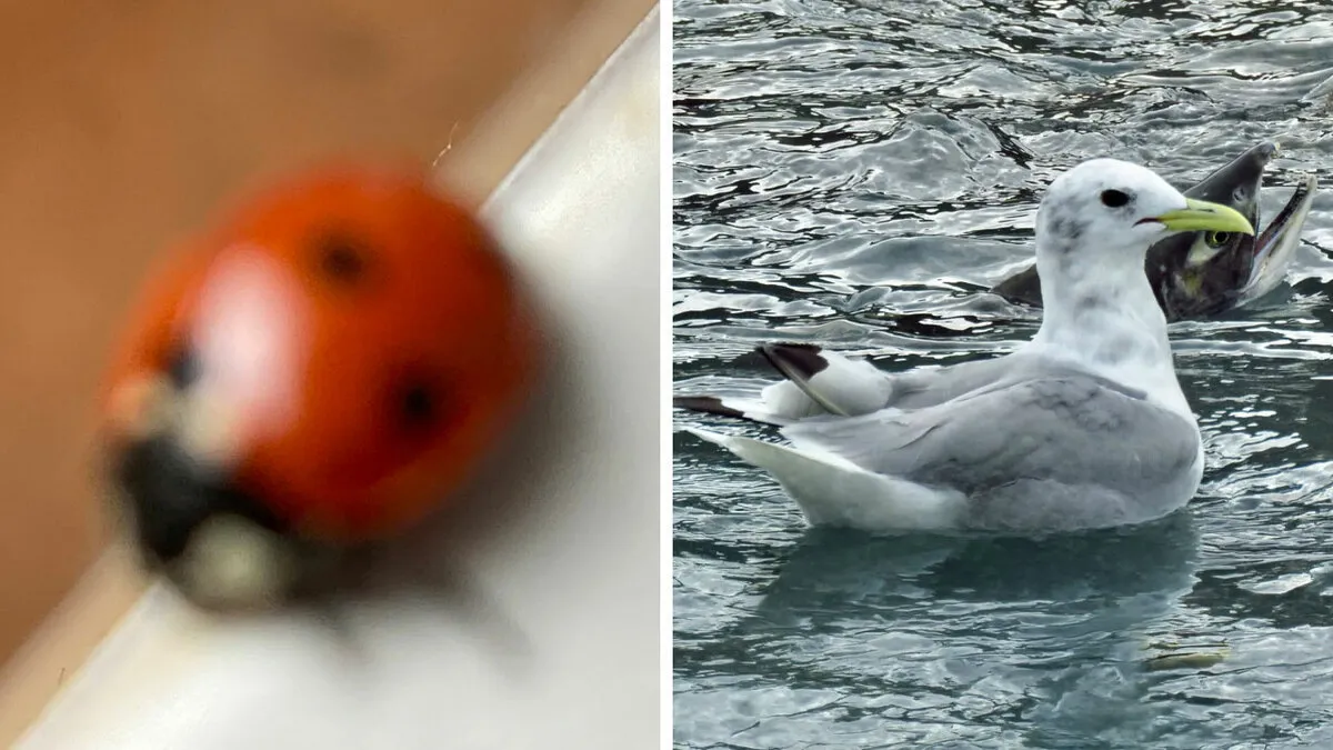 95 Wildlife Photos So Bad They Somehow Circle Back To Being Brilliant
