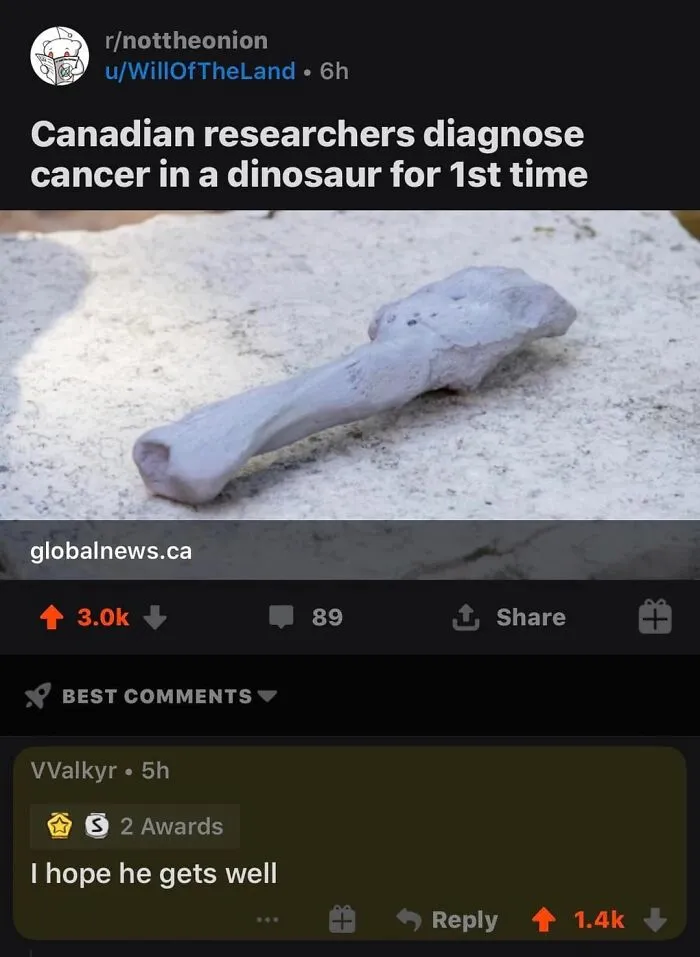 47 Comments Under A Post That Show Internet Users Have An Impeccable Sense Of Humor