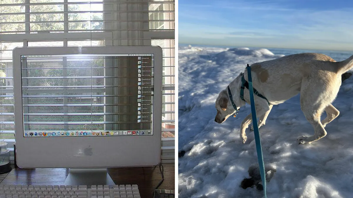 118 Pics That Make You Wonder What Happened Five Seconds Before The Photo Was Taken