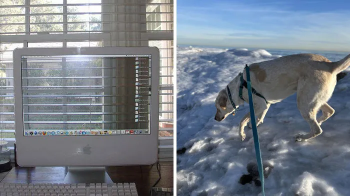 118 Pics That Make You Wonder What Happened Five Seconds Before The Photo Was Taken