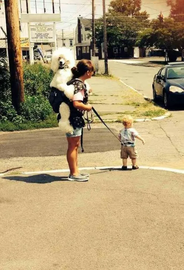 I Really Think We Need To Discuss Your Position Here Babysitter