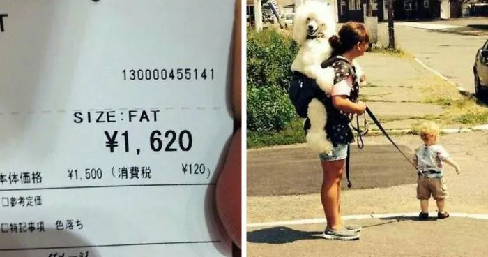 67 Unbelievable Fails That Are So Ridiculous People Had To Share With The World (New Pics)