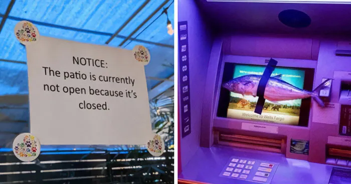 67 Top Internet Posts That Show Why Humor Is The Best Escape From Daily Chaos