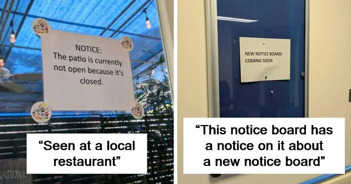 The Internet Is Still Going Strong And Is Serving You These 67 Hilarious Photos