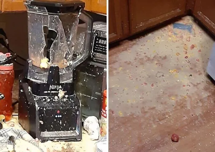 Blender Exploded As I Was Making A Smoothie