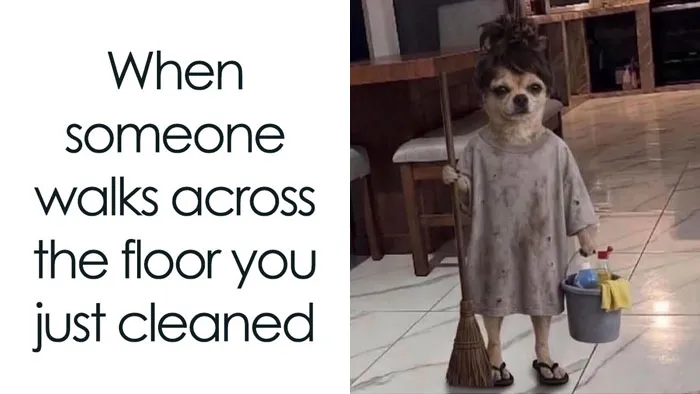 60 Memes For Anyone Who's Ever Sighed Audibly At Absolutely Nothing