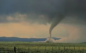 77 Useful Facts That Could Make A Huge Difference In An Emergency