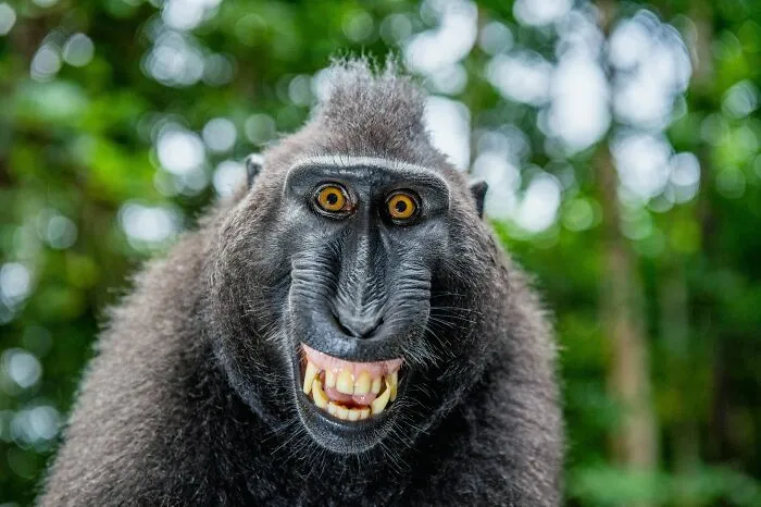 79 Times Someone Said Something So Absurd With A Straight Face Nobody Knew How To Respond