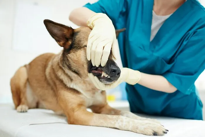 Bemused Doctors Expose The Things People Most Commonly Lie To Them About (62 Examples)