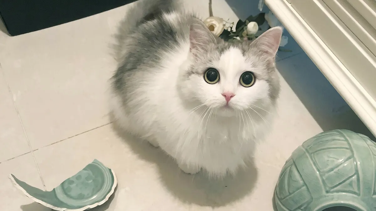 107 Animal Photos That Are So Wholesome They May Bring You Good Vibes That Last For Days