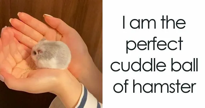 107 Wholesome Animal Photos That Might Restore Your Faith In The Internet