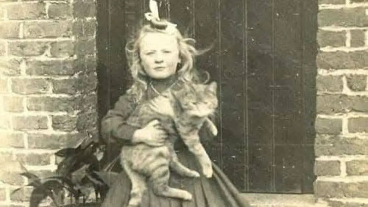 30 Vintage Photos That Prove Cats Have Always Stolen The Show, As Shared By This Page
