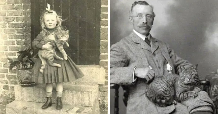 30 Vintage Photos That Prove Cats Have Always Stolen The Show, As Shared By This Page