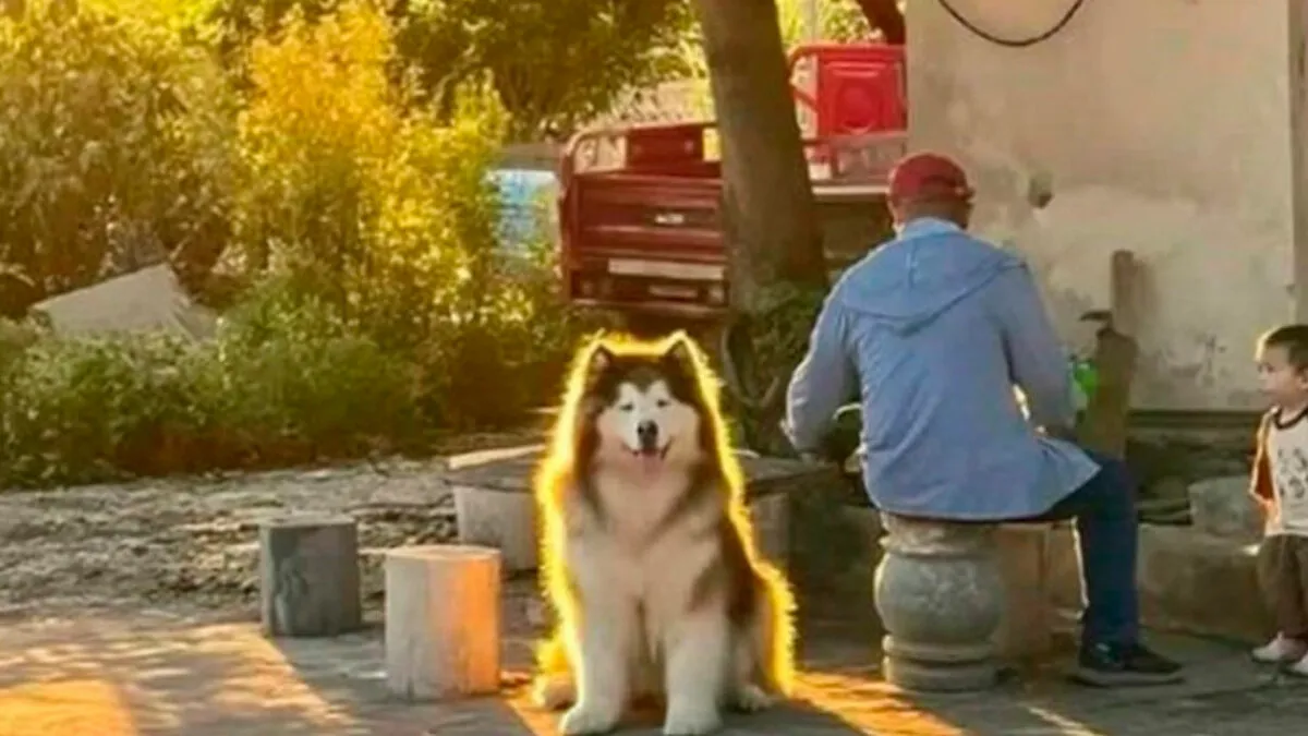 48 Wholesome Moments From The Internet That Made People Believe There’s Still Good Out There