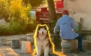 48 Wholesome Moments From The Internet That Made People Believe There’s Still Good Out There