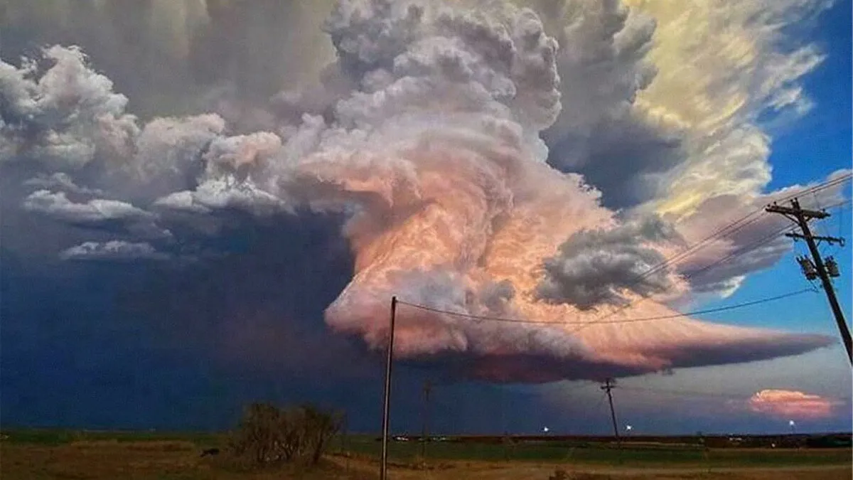 75 Images Of Insanely Huge Things To Awaken Some Hidden Fears In Us With Just Watching Them