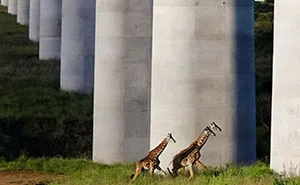 75 Images Of Insanely Huge Things To Awaken Some Hidden Fears In Us With Just Watching Them
