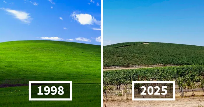 People Are Disappointed When They See The Real Location Of Where The Most Viewed Photo Was Taken