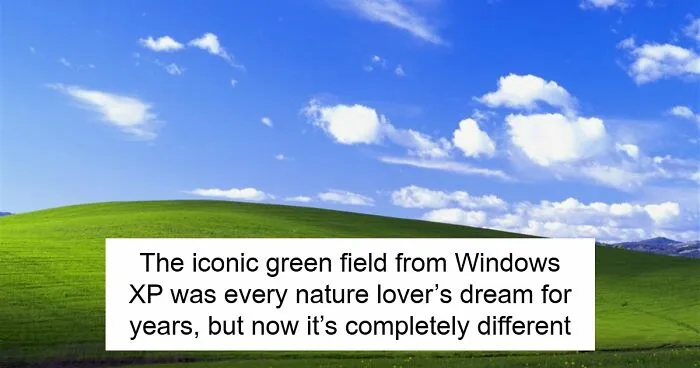 People Are Shocked To See What The Famous Windows XP Wallpaper Looks Like Today