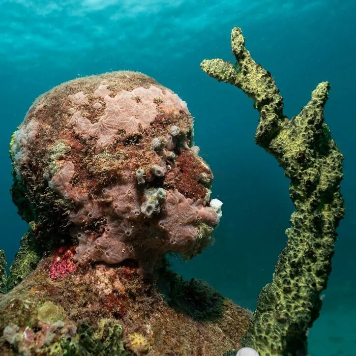 For 20 Years, This Artist Has Been Placing Stunning Sculptures Beneath The Ocean That Support Marine Life (20 New Pics)