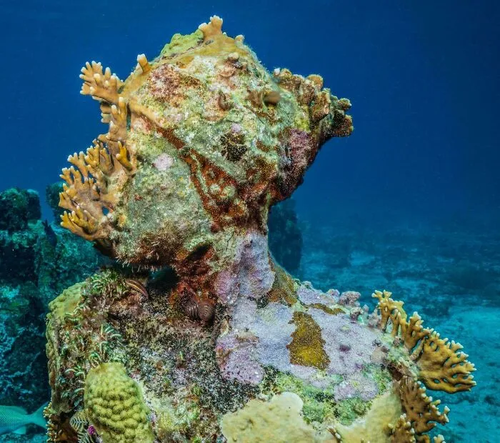 For 20 Years, This Artist Has Been Placing Stunning Sculptures Beneath The Ocean That Support Marine Life (20 New Pics)