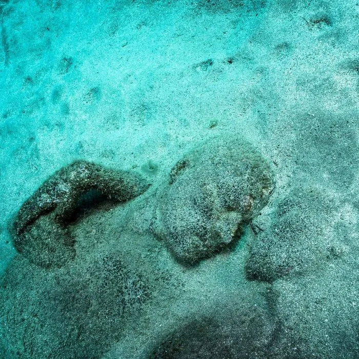 For 20 Years, This Artist Has Been Placing Stunning Sculptures Beneath The Ocean That Support Marine Life (20 New Pics)