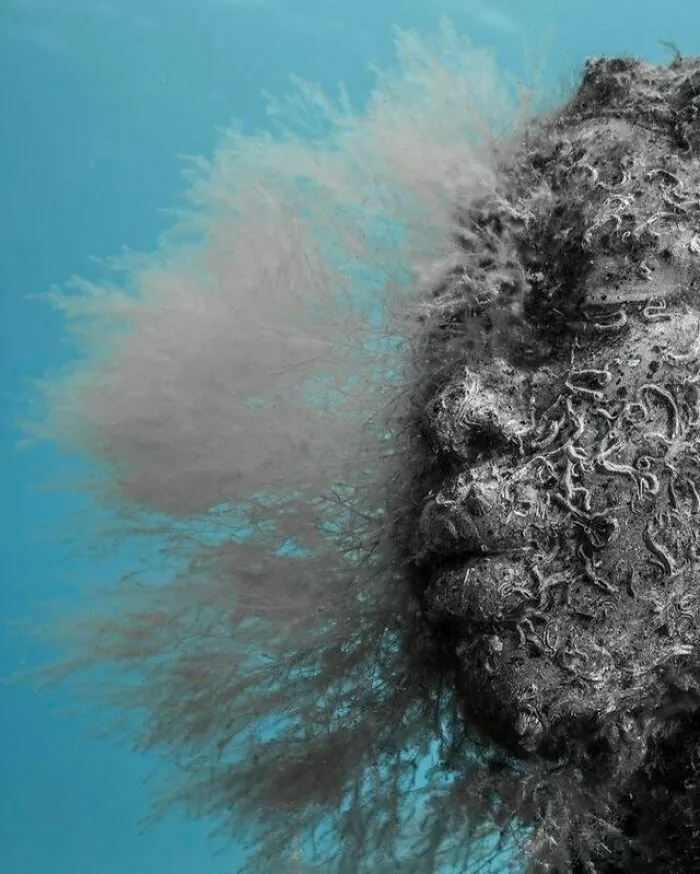 For 20 Years, This Artist Has Been Placing Stunning Sculptures Beneath The Ocean That Support Marine Life (20 New Pics)