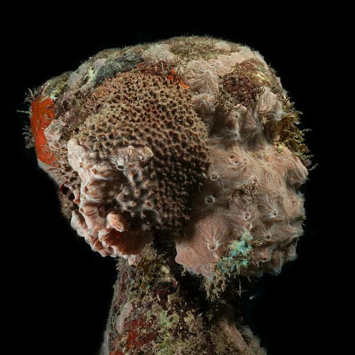 For 20 Years, This Artist Has Been Placing Stunning Sculptures Beneath The Ocean That Support Marine Life (20 New Pics)