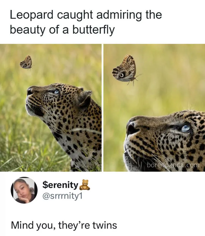 60 Memes For Anyone Who's Ever Sighed Audibly At Absolutely Nothing