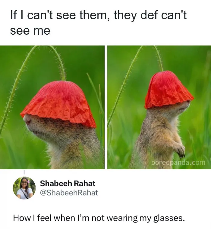 60 Memes For Anyone Who's Ever Sighed Audibly At Absolutely Nothing