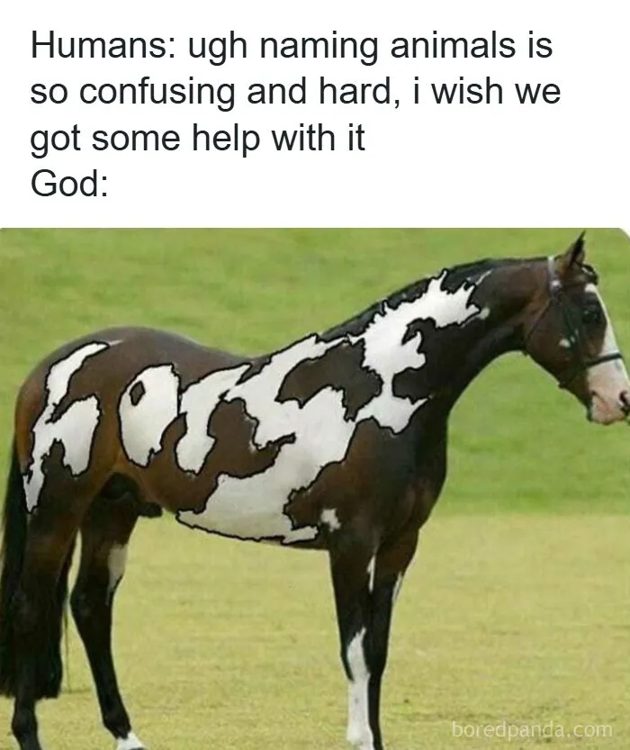 Edgy meme of horse with coat pattern spelling horse joking about naming animals