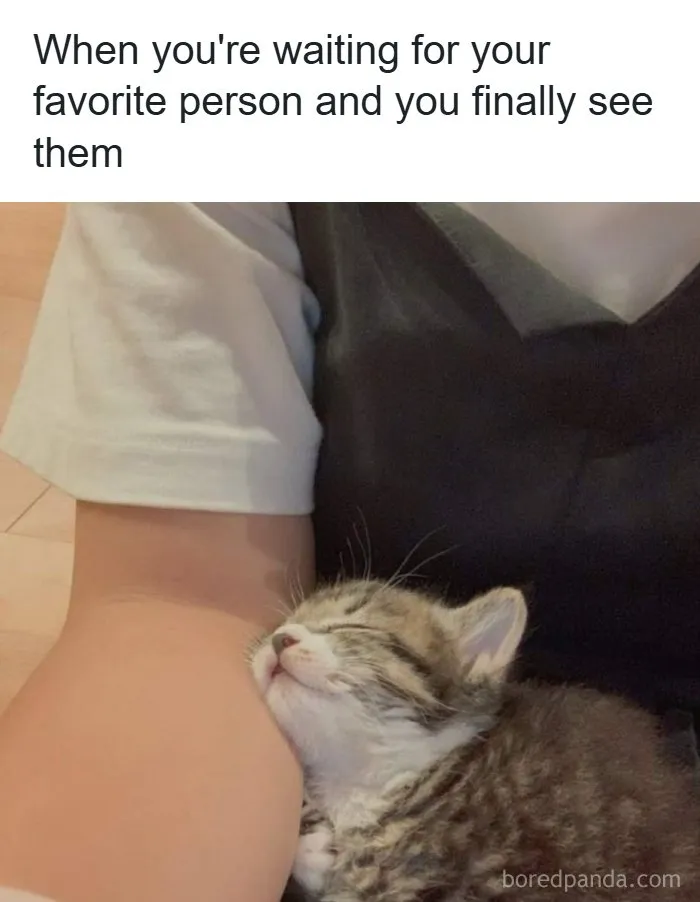 80 Tiny Doses Of Wholesomeness For When You Need Something Nice On Your Feed
