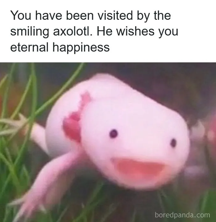 80 Tiny Doses Of Wholesomeness For When You Need Something Nice On Your Feed