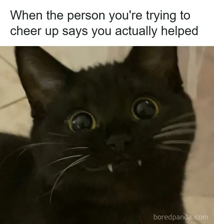 80 Tiny Doses Of Wholesomeness For When You Need Something Nice On Your Feed