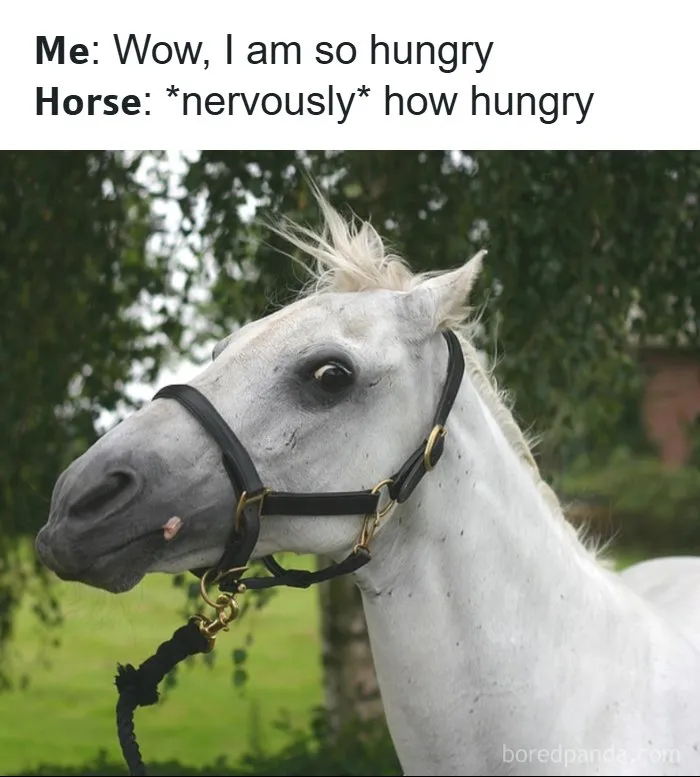 77 Times These Memes Nailed The Hilarious And Exhausting Realities Of Everyday Life (New Pics)