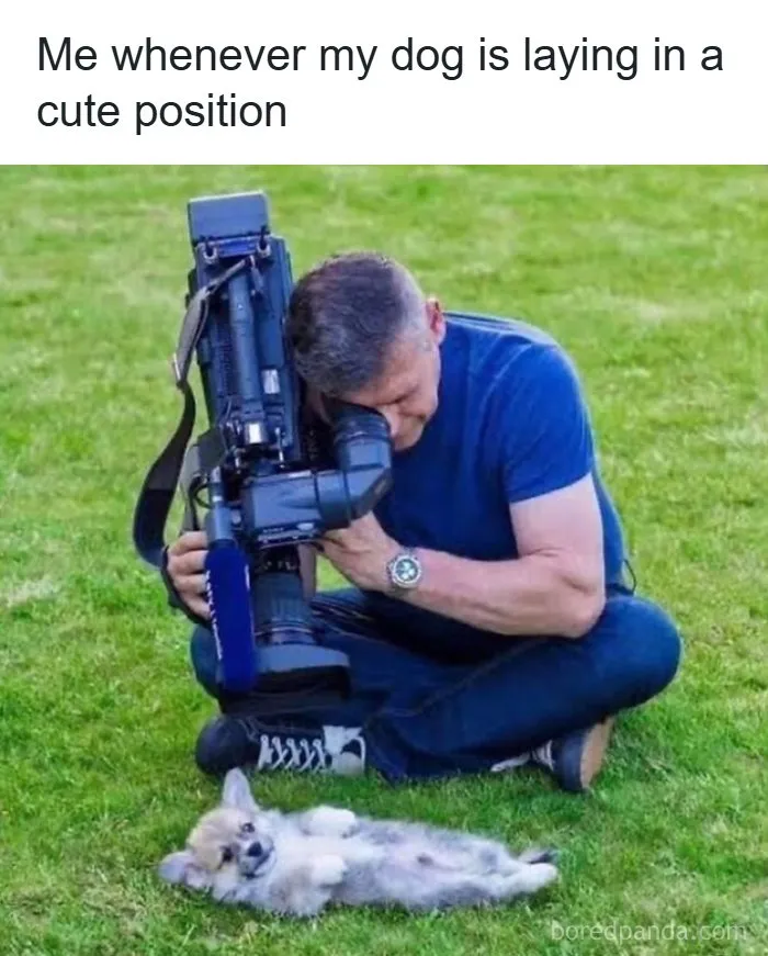 Relatable meme of man photographing a dog laying in a cute position on grass